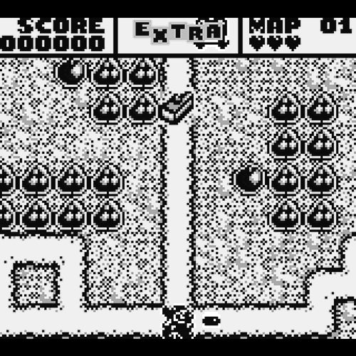 Mr. Do