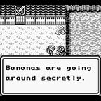 Final Fantasy: Legend II (US)