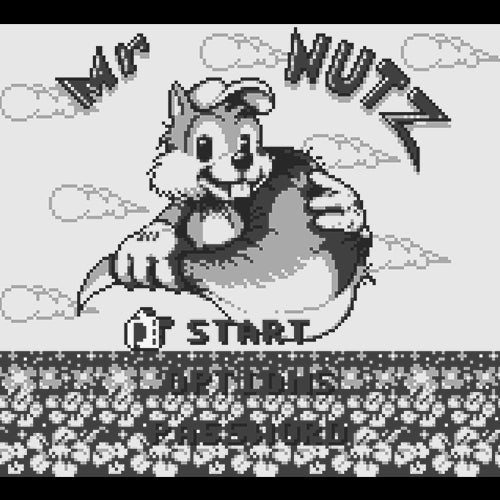 Mr. Nutz