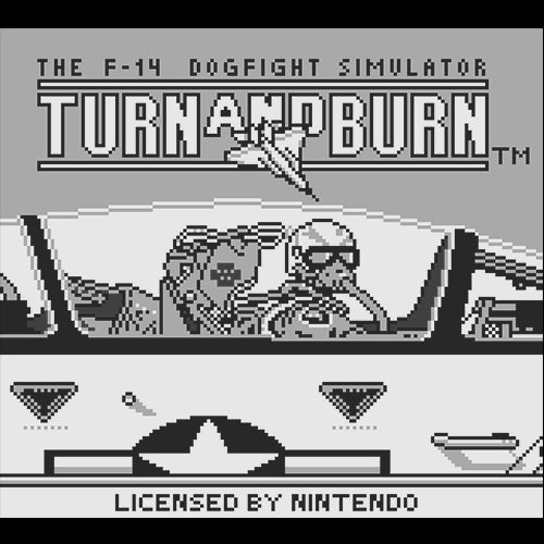 F-14 Dogfight Simulator: Turn and Burn (US)