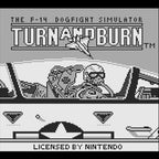 F-14 Dogfight Simulator: Turn and Burn (US)