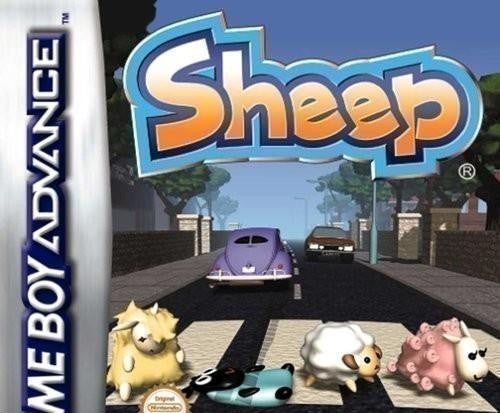 Sheep