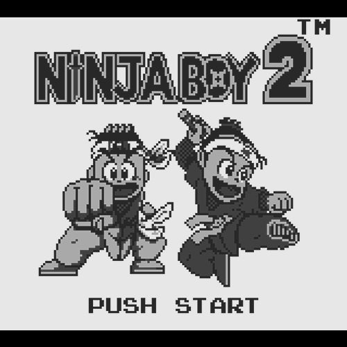 Ninja Boy 2