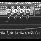 FIFA 98: Road to World Cup