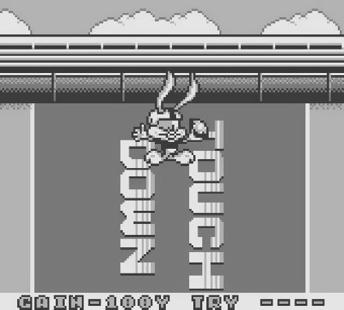 Tiny Toon Adventures: Wacky Sports