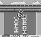 Tiny Toon Adventures: Wacky Sports