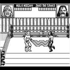 WWF Superstars 2