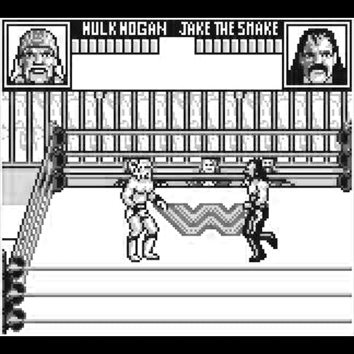 WWF Superstars 2
