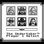 WWF Superstars 2