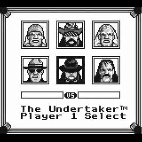 WWF Superstars 2