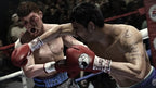 EA SPORTS Fight Night: Champion (DE)