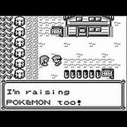 Pokemon Rote Edition (DE)
