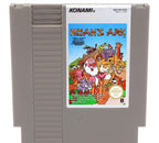 Noah's Ark