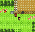 Pokemon Silberne Edition (DE)
