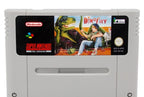 Dino City