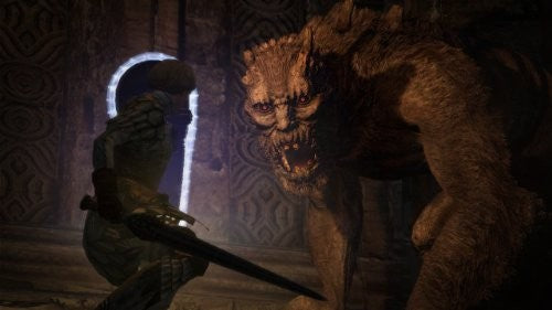 Dragon's Dogma (US)