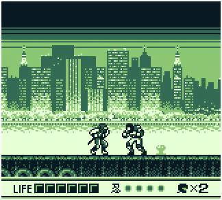 Shadow Warriors