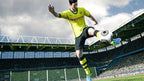 FIFA 14 (DE)