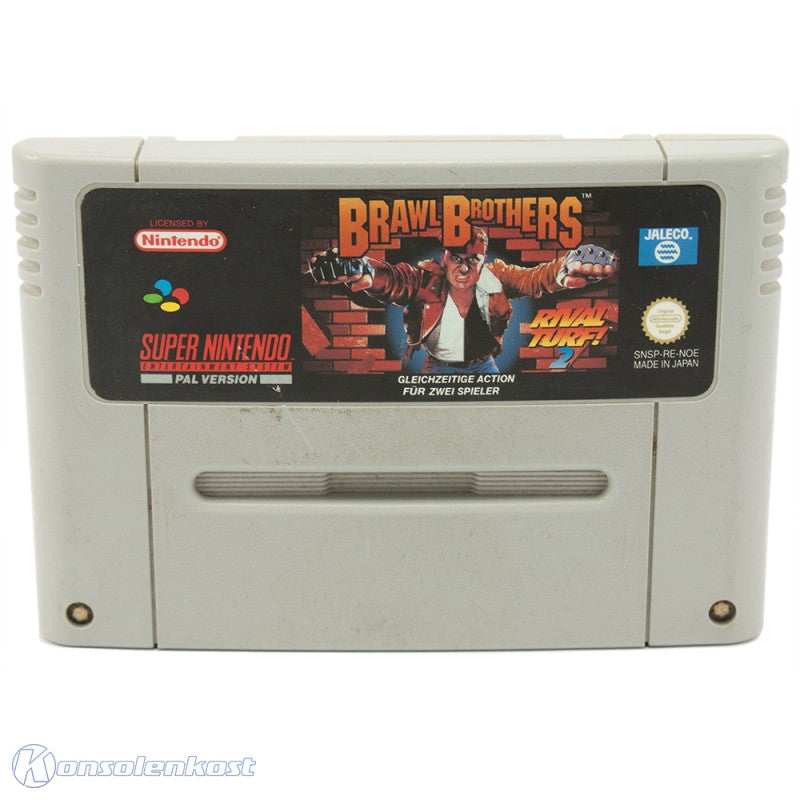 Brawl Brothers: Rival Turf 2