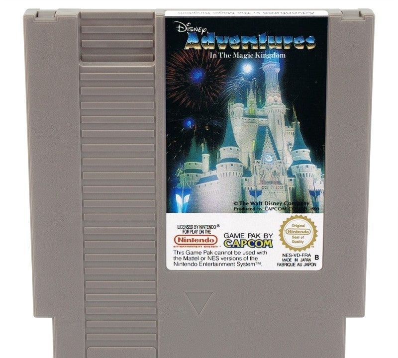Adventures in the Magic Kingdom