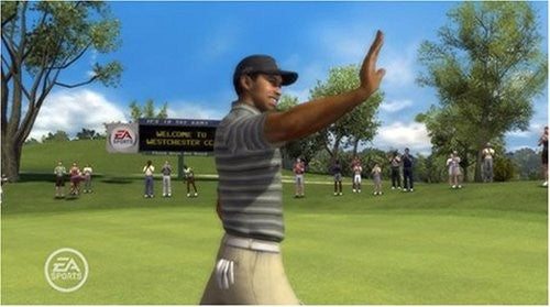 Tiger Woods PGA Tour 08 (DE)