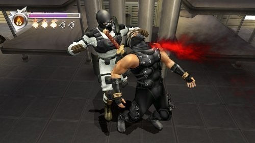 Ninja Gaiden (DE)