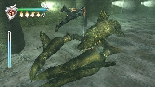 Ninja Gaiden (DE)