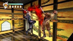Ninja Gaiden (DE)