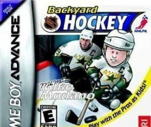 Backyard Hockey