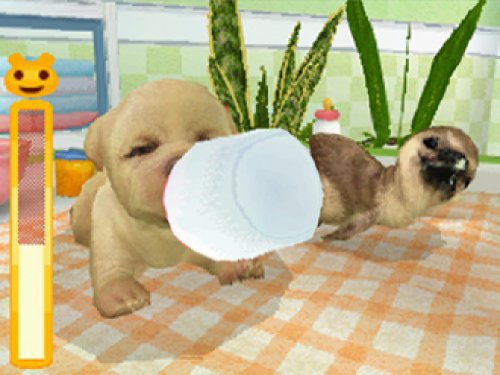 Petz: Tierbaby-Schule (DE)