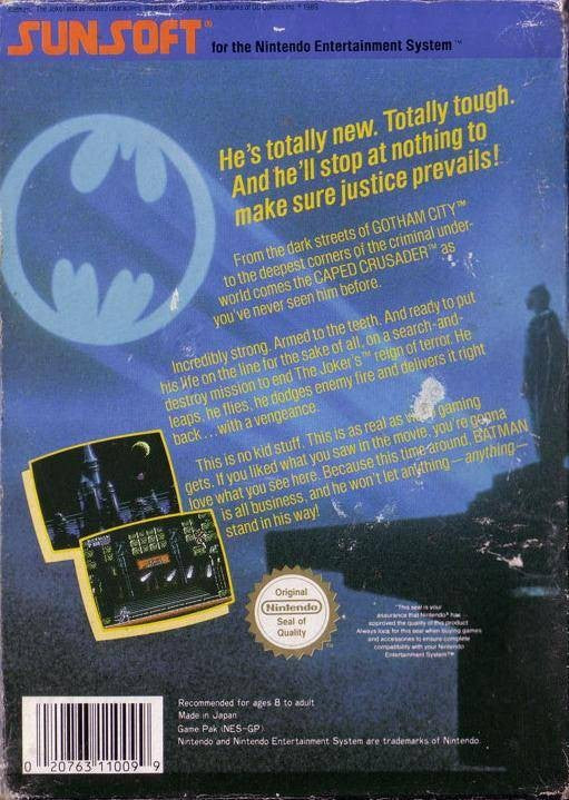 Batman: The Video Game
