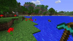 Minecraft (DE)