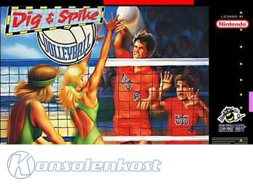 Dig & Spike Volleyball (US)
