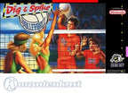 Dig & Spike Volleyball (US)