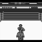 George Foremans KO Boxing