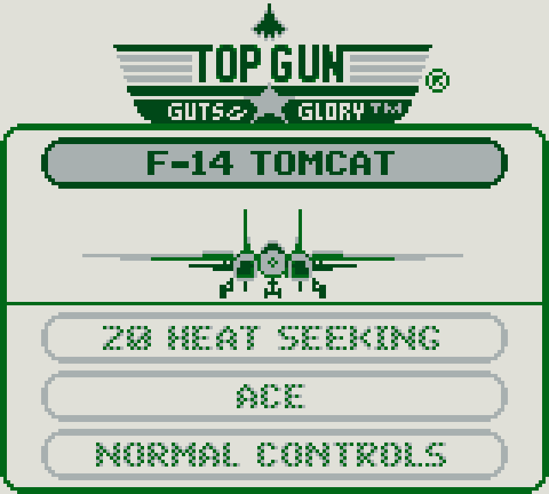 Top Gun: Guts & Glory