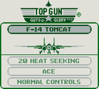 Top Gun: Guts & Glory