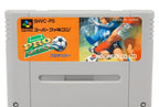 Pro Soccer (JP)