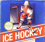 Ice Hockey Bienengräber
