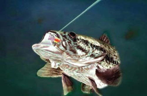 Rapala Pro Fishing
