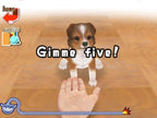 WarioWare: Smooth Moves (DE)