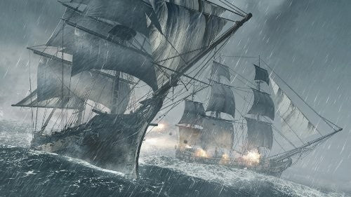 Assassin's Creed IV: Black Flag (FR)