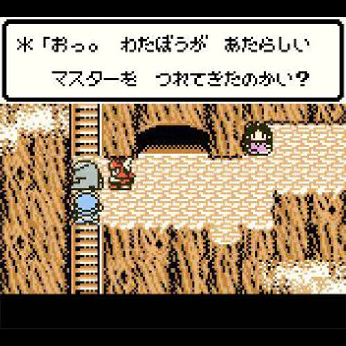 Dragon Warrior Monsters DMG-P-ADQJ (JP)