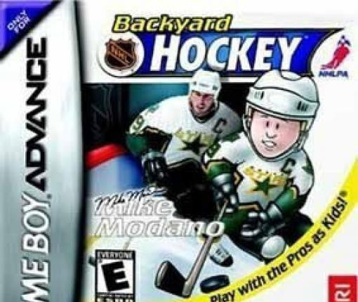 Backyard Hockey
