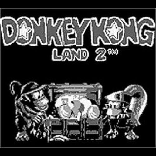 Donkey Kong Land 2