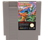 Wizards & Warriors 1