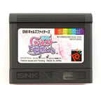 Gals Fighters (JP)