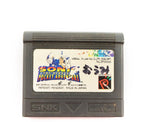 Sonic the Hedgehog Pocket Adventure (JP)