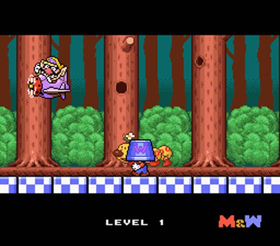 Mario to Wario (JP)