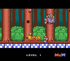 Mario to Wario (JP)